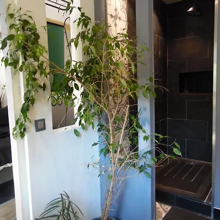 לינה וארוחת בוקר Le Jardin Suspendu ז'יניאק